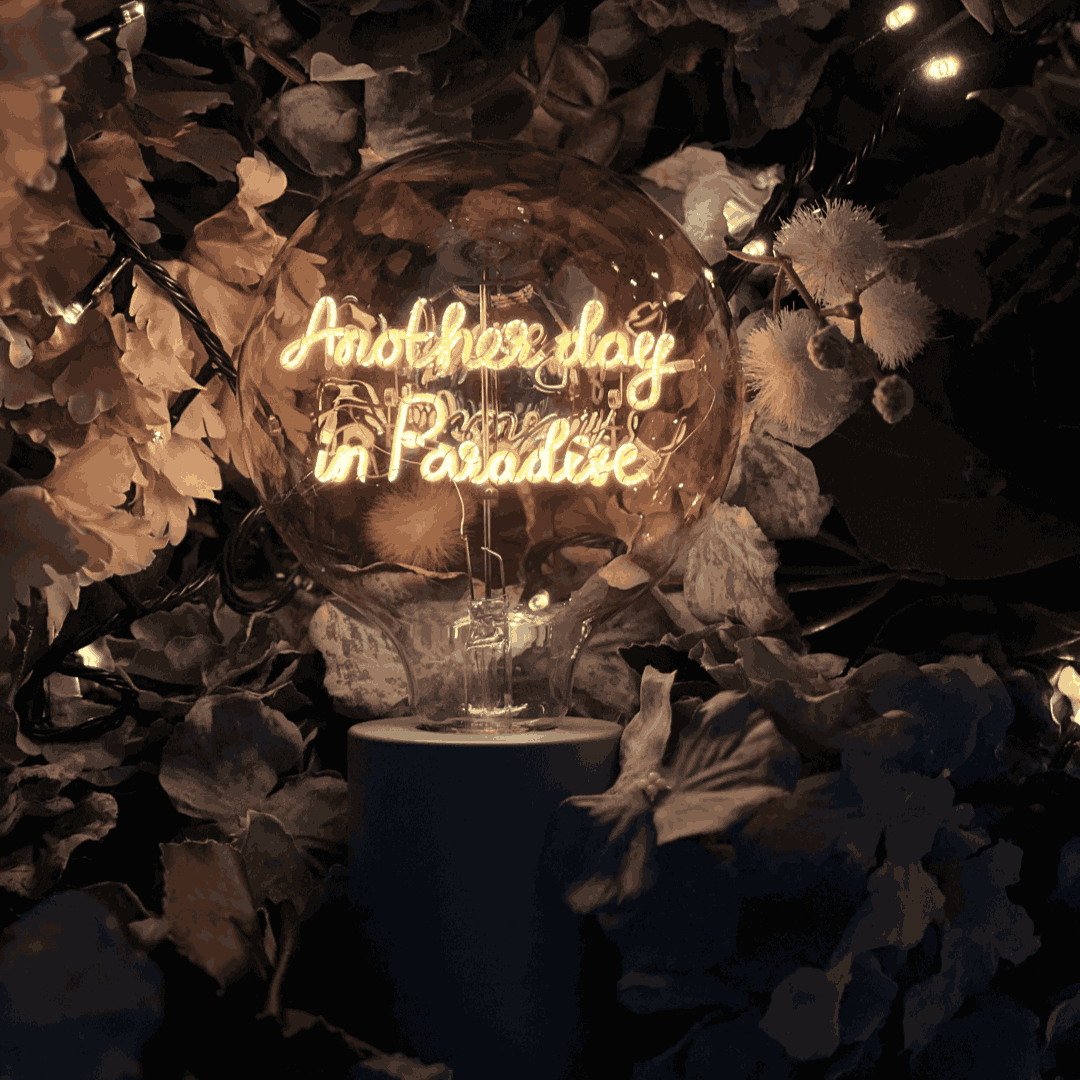 Another Day in Paradise - Elements Lighting