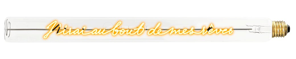 Tube lumineux - J'irai au bout de mes rêves - Elements Lighting