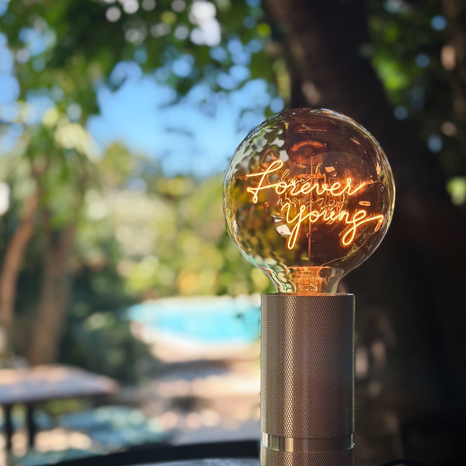 Forever Young - Elements Lighting