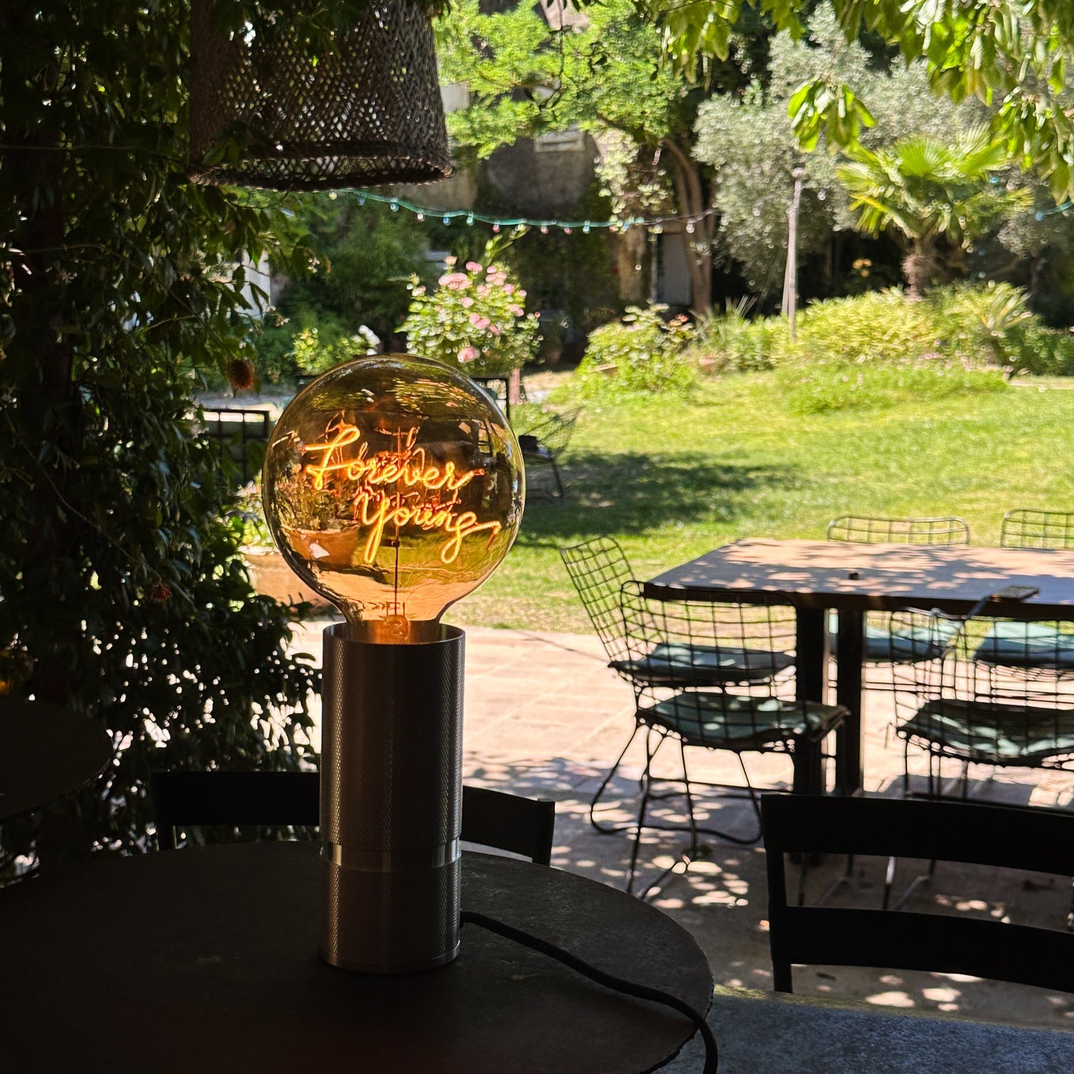 Forever Young - Elements Lighting
