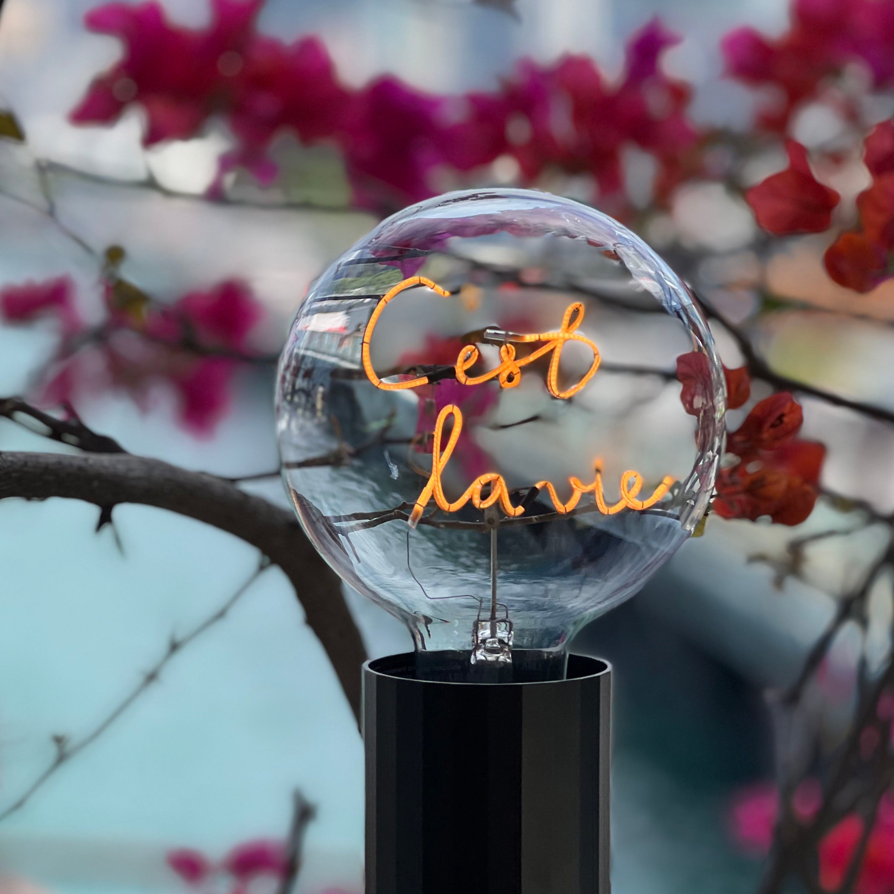 Sans Fil - C'est la Vie - Elements Lighting