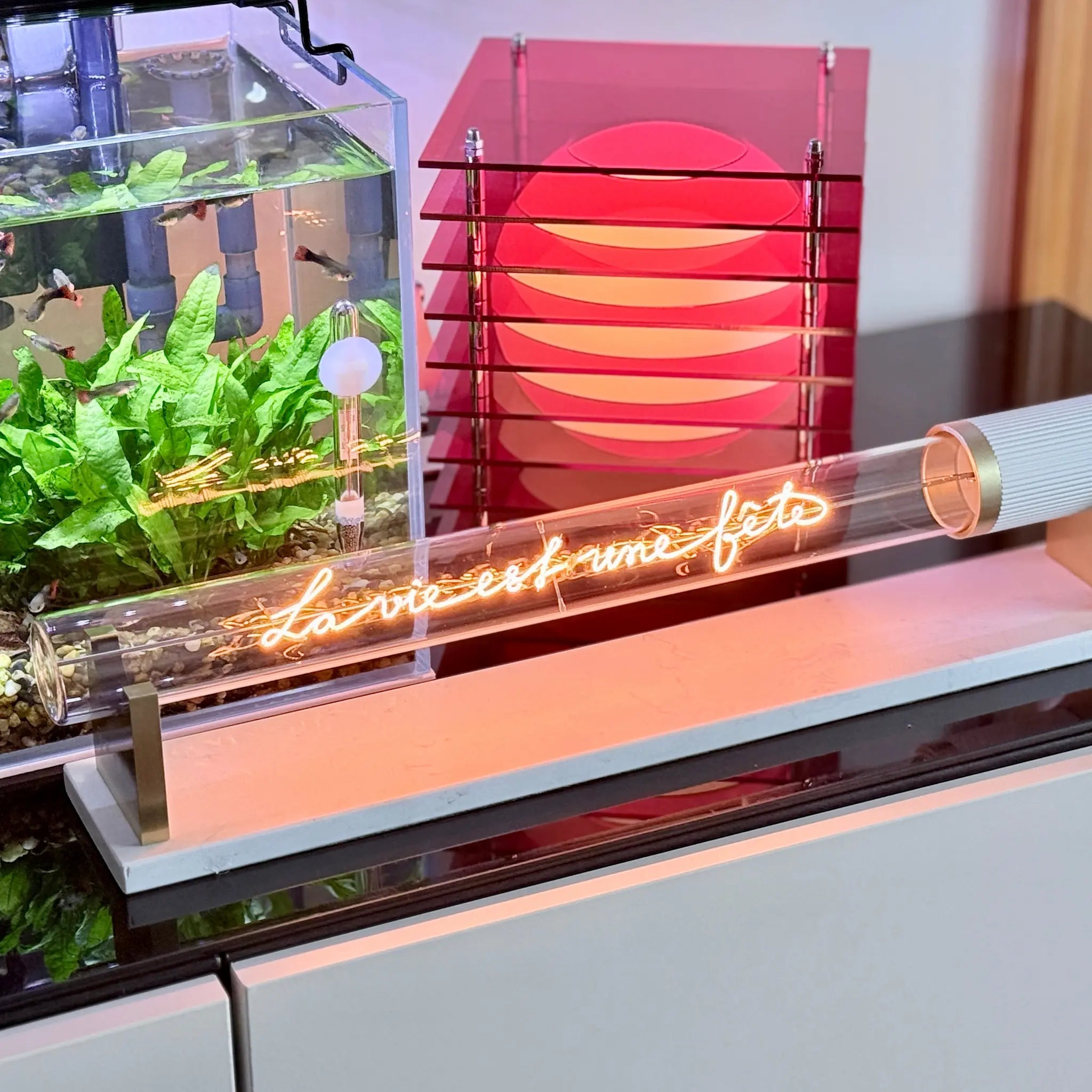 MITT - La vie est une fête - Elements Lighting