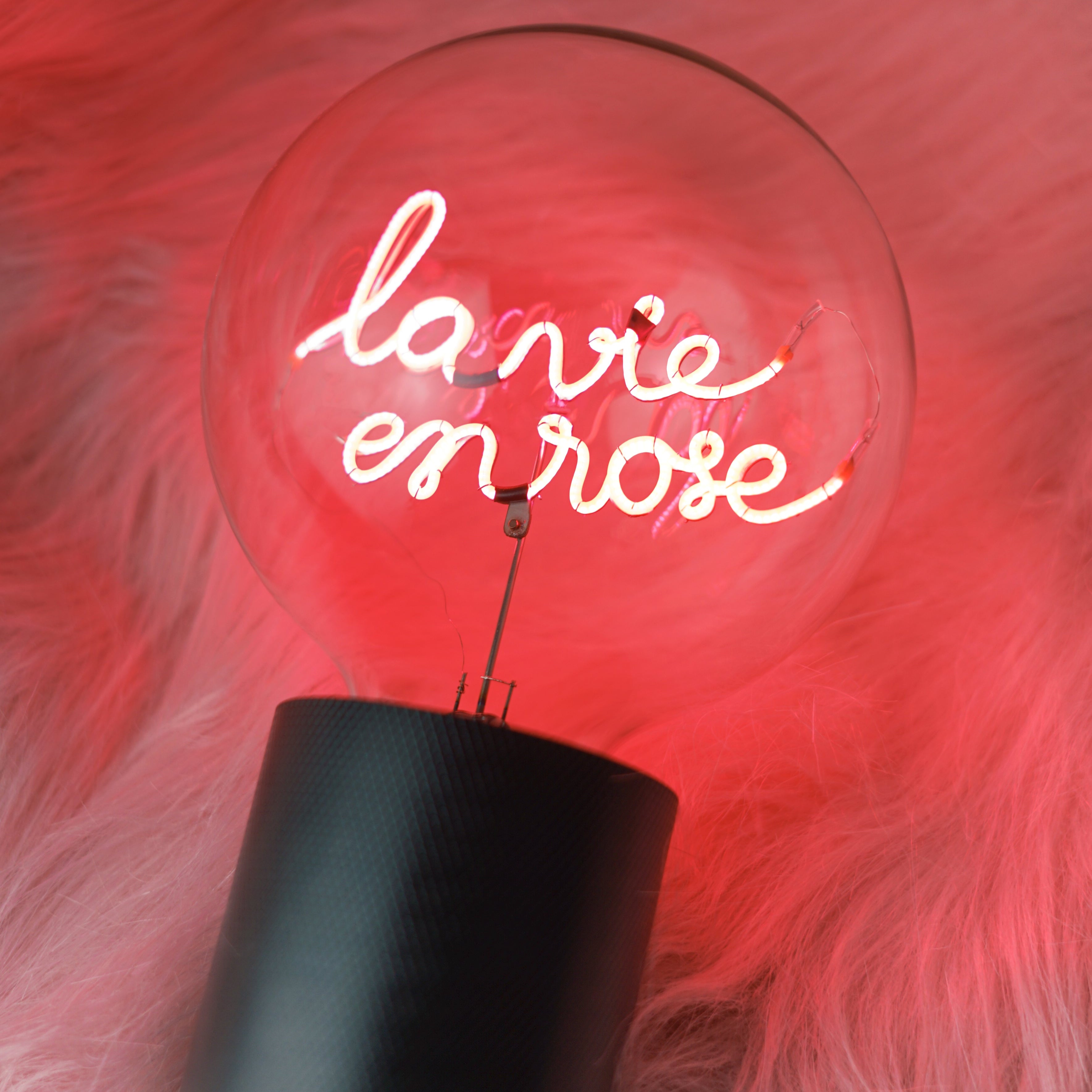 La Vie en Rose