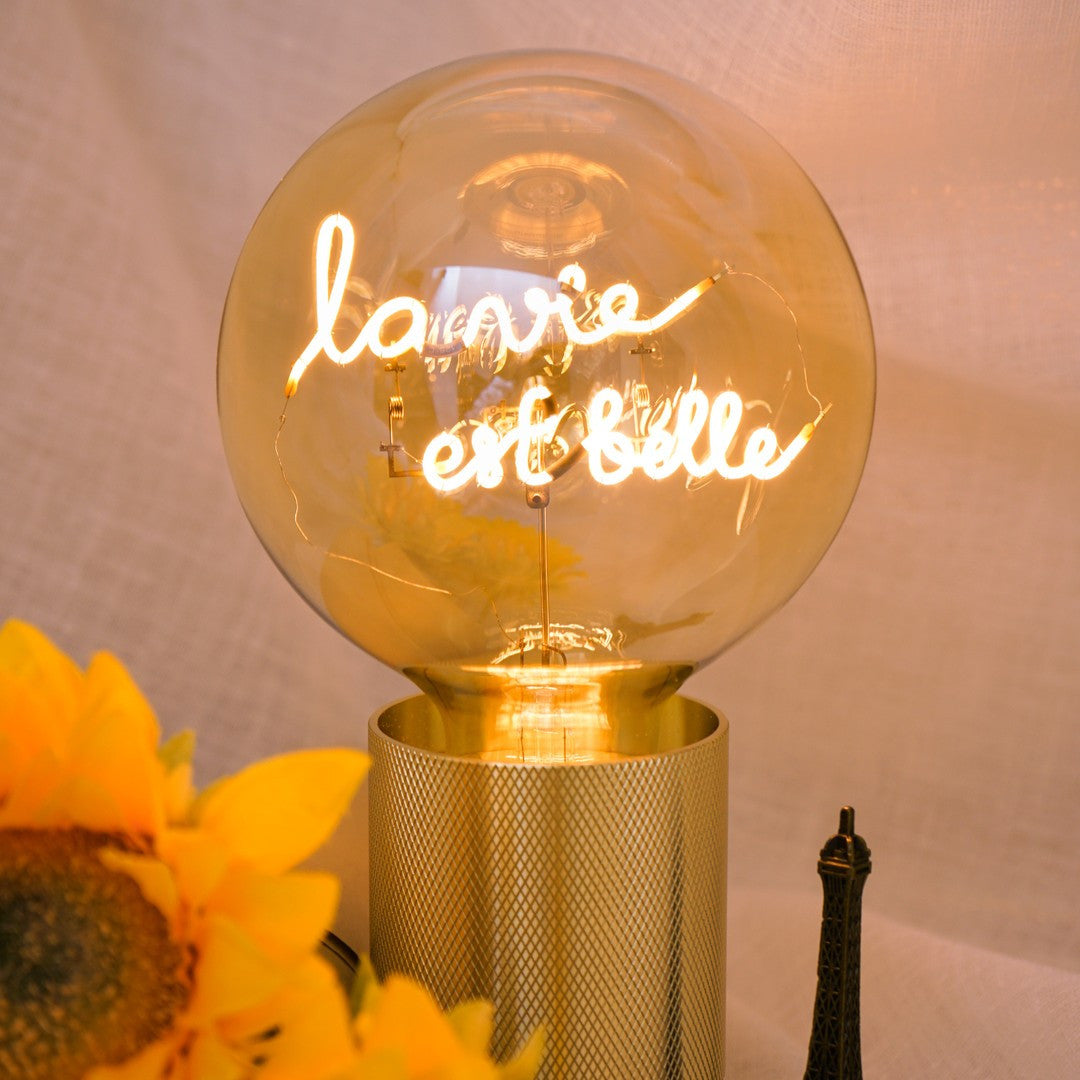 La vie est Belle MESSAGE IN THE BULB