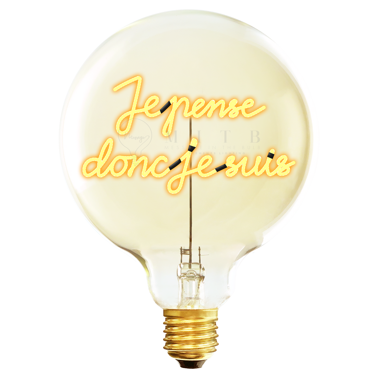Je Pense Donc Je Suis