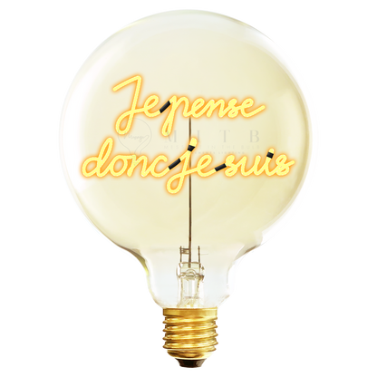 Je Pense Donc Je Suis