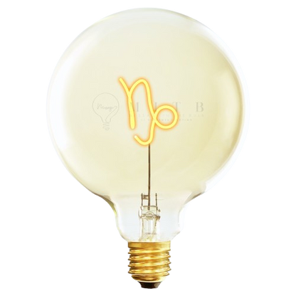 Zodiac - Capricorn MESSAGE IN THE BULB