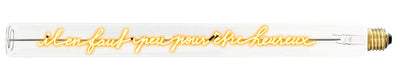909294_il_en_faut_peu_pour_tre_heureux__32347.1727690140.1280.1280 - Elements Lighting