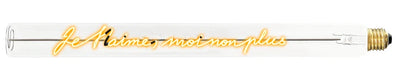 909296_Je_taime_moi_non_plus__77614.1744643695.1280.1280 - Elements Lighting