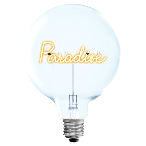 SANS FIL - PARADISE