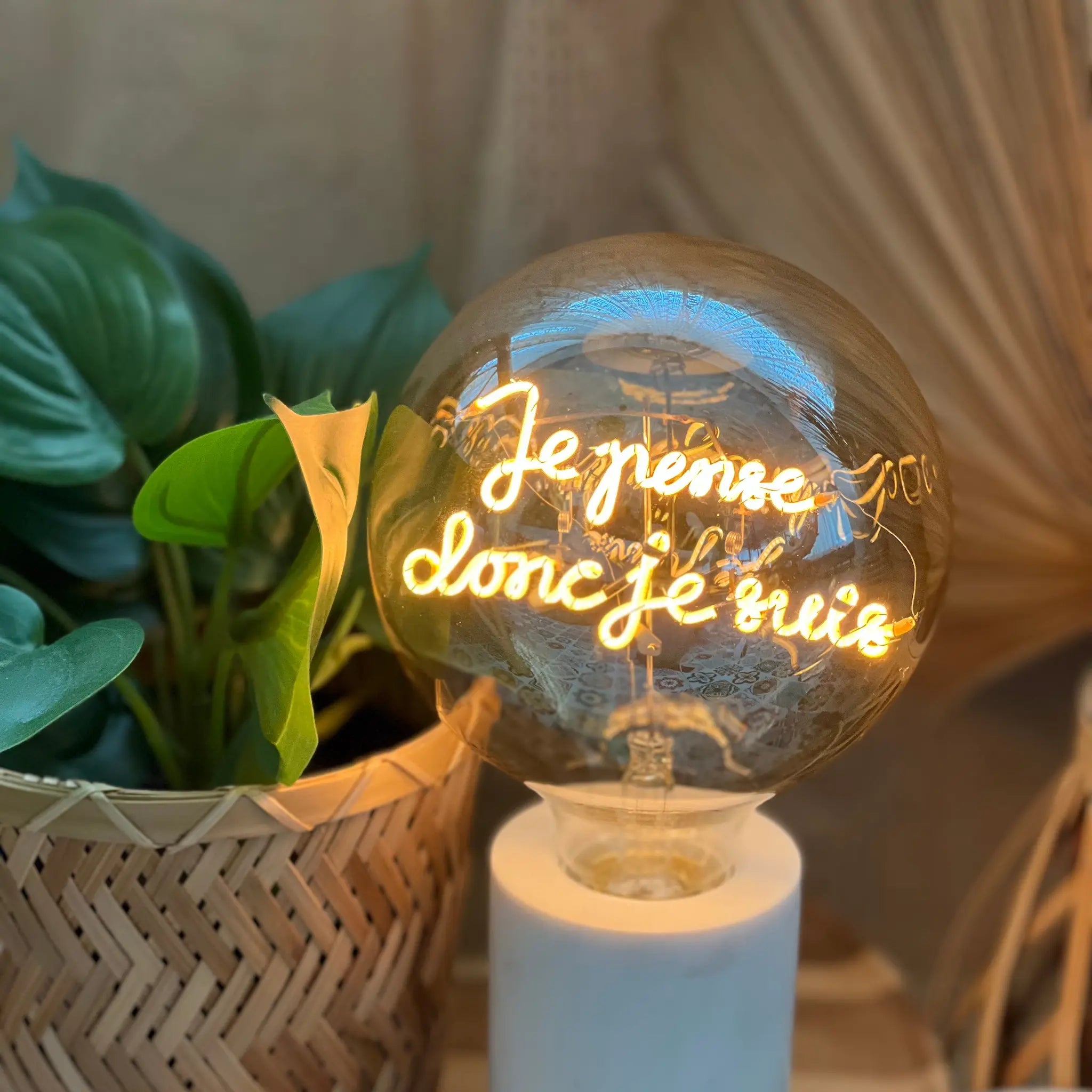 Je Pense Donc Je Suis - Elements Lighting