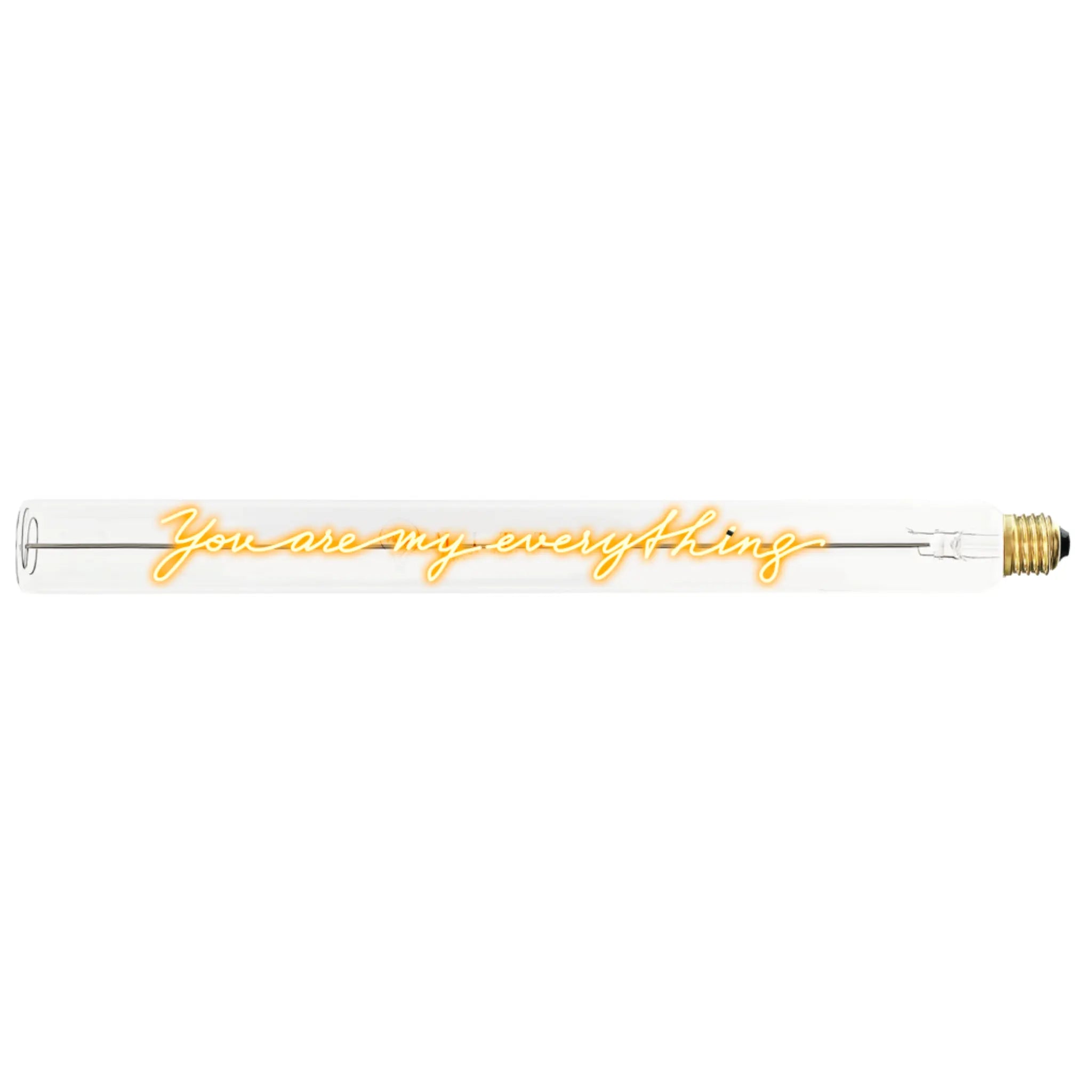 Ampoule décorative LED “You are my Everything” – Message In The Tube - Elements Lighting