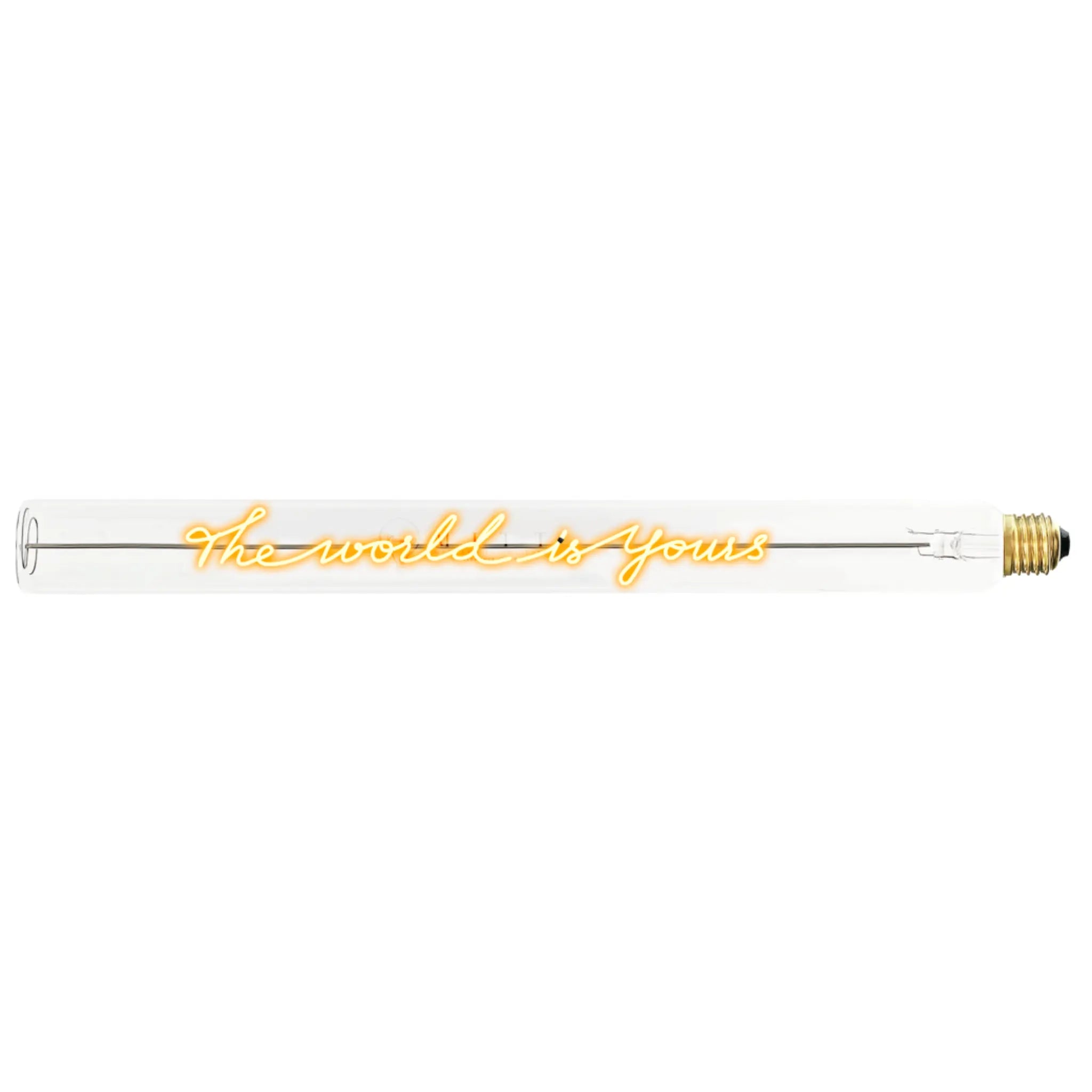 Ampoule décorative LED “The World is Yours" – Message In The Tube - Elements Lighting