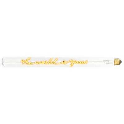 Ampoule décorative LED “The World is Yours" – Message In The Tube - Elements Lighting