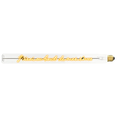 Ampoule décorative LED “J'irai au bout de mes rêves” – Message In The Tube - Elements Lighting