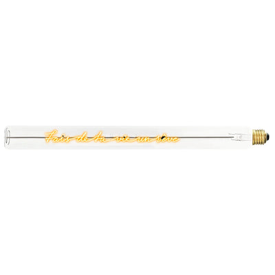 Ampoule décorative LED “Fais de ta vie un rêve” – Message In The Tube - Elements Lighting