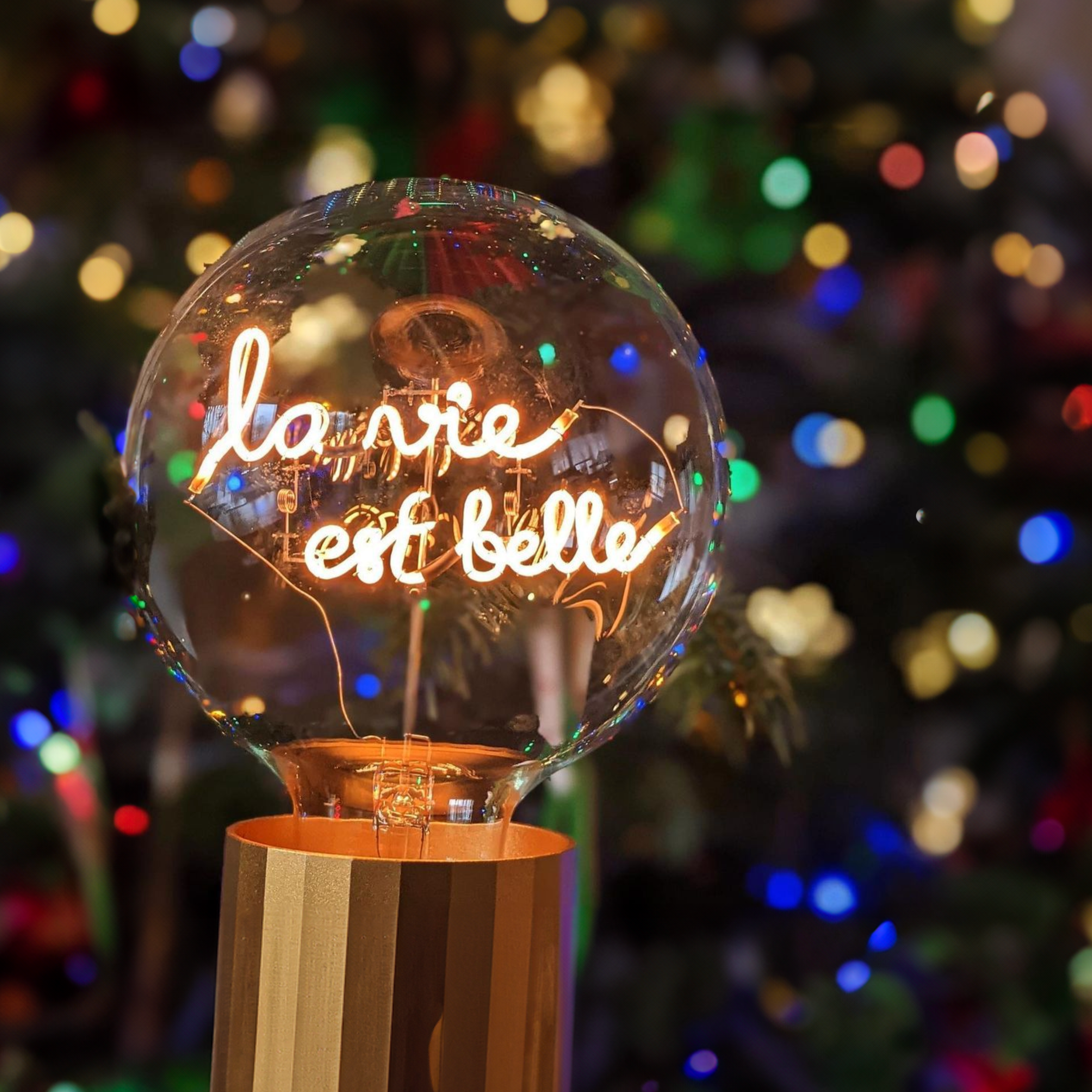 Sans Fil - La Vie est Belle